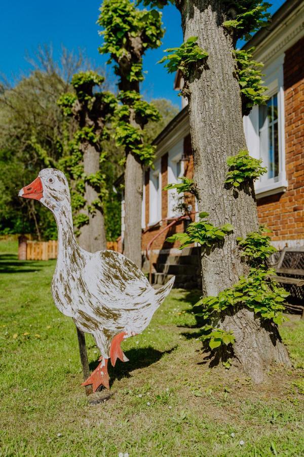Landhaus Goldene Gans Gross Pankow (Prignitz) Exterior foto